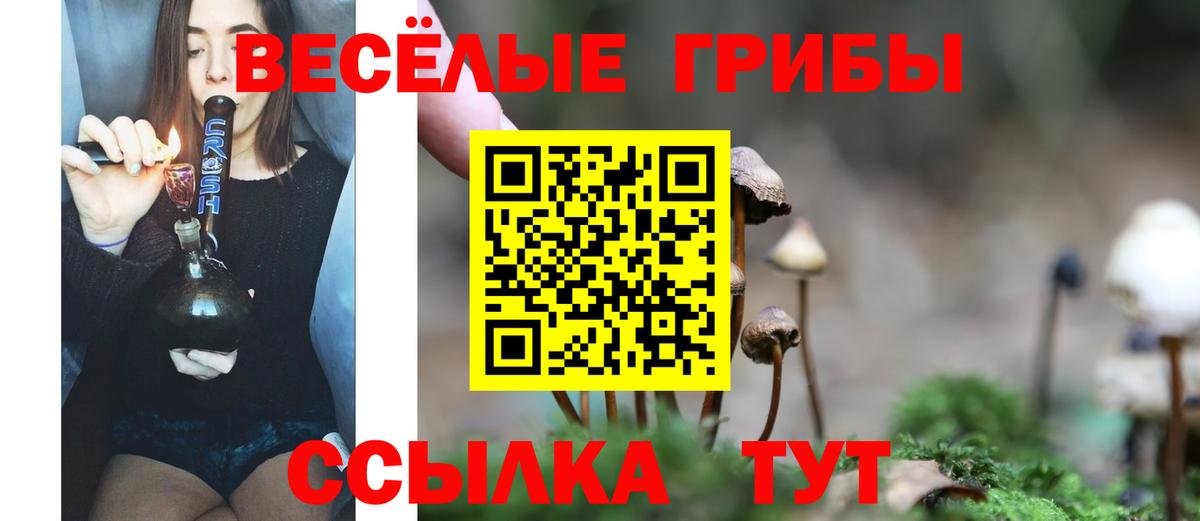 Ульяновск  Галлюциногенные грибы мухоморы  Вход с VPN 